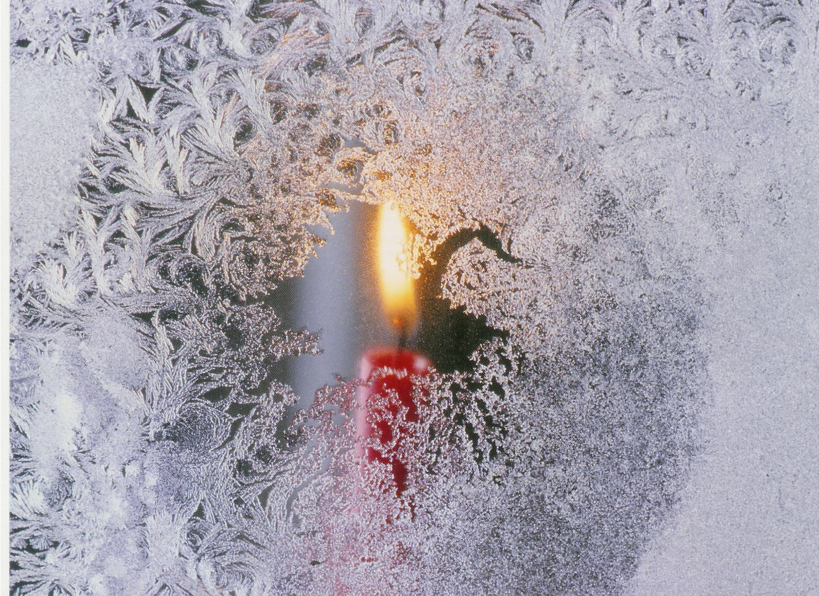 Weihnachtsfeier
